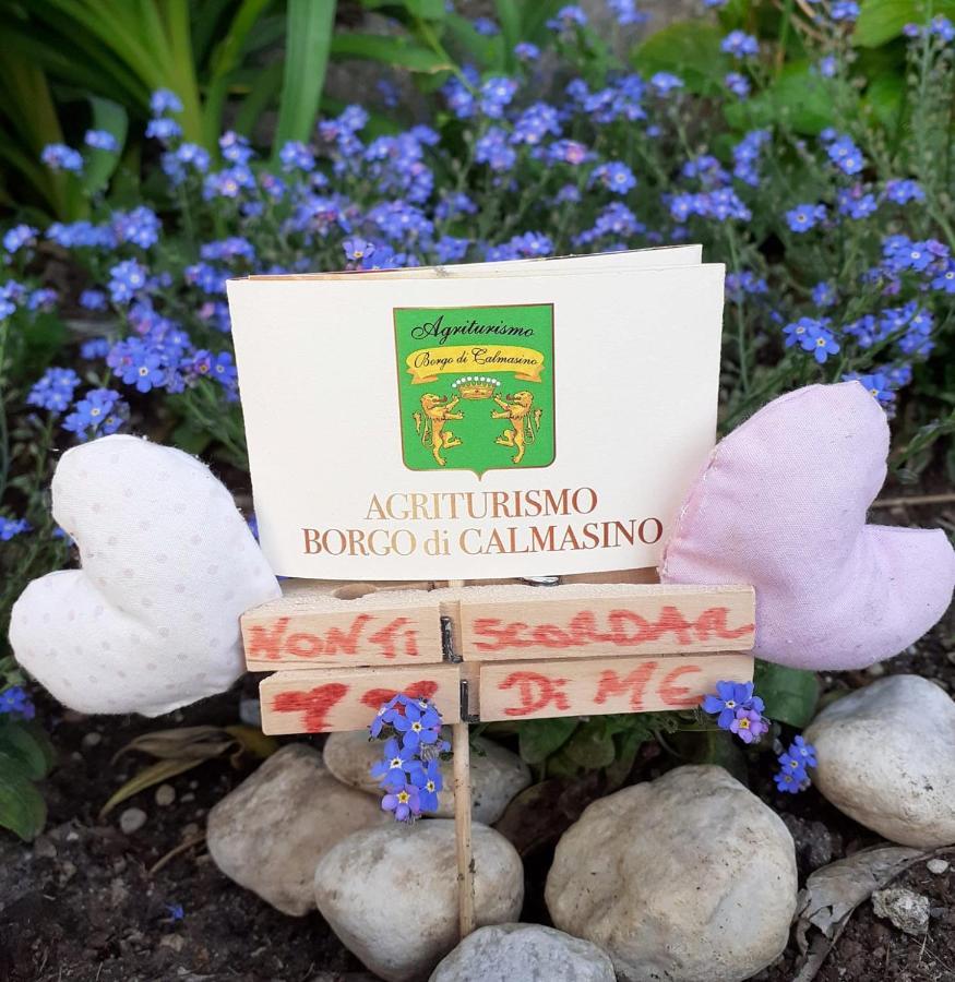 Agriturismo Borgo Di Calmasino Bardolino Kültér fotó