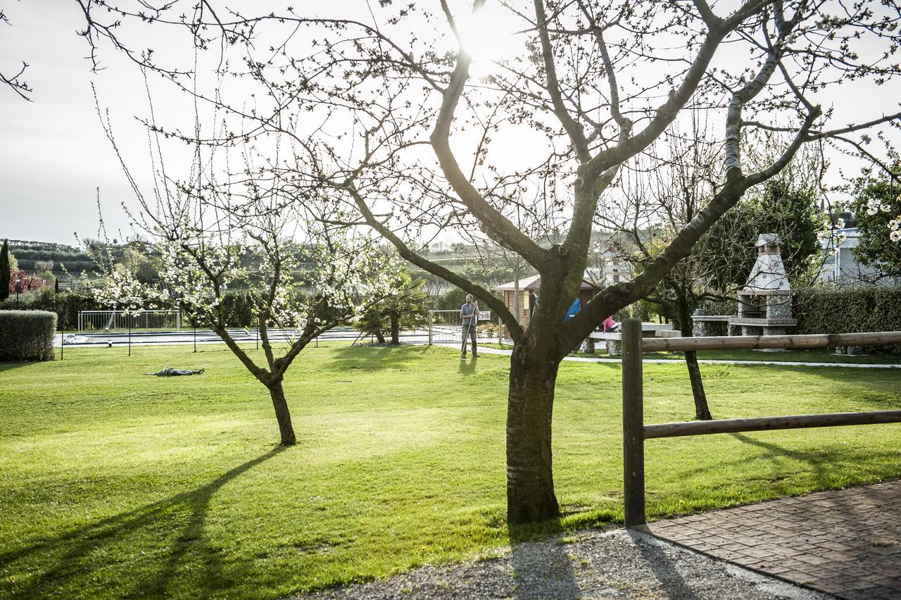 Agriturismo Borgo Di Calmasino Bardolino Kültér fotó